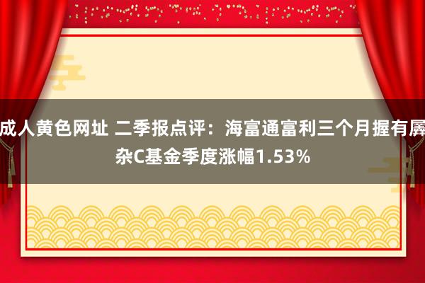 成人黄色网址 二季报点评：海富通富利三个月握有羼杂C基金季度涨幅1.53%