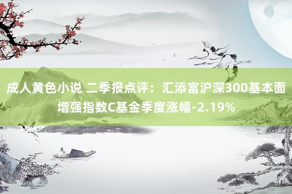 成人黄色小说 二季报点评：汇添富沪深300基本面增强指数C基金季度涨幅-2.19%