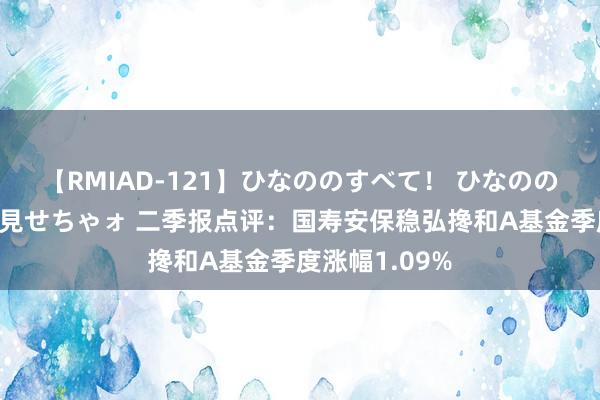 【RMIAD-121】ひなののすべて！ ひなののHをいっぱい見せちゃォ 二季报点评：国寿安保稳弘搀和A基金季度涨幅1.09%