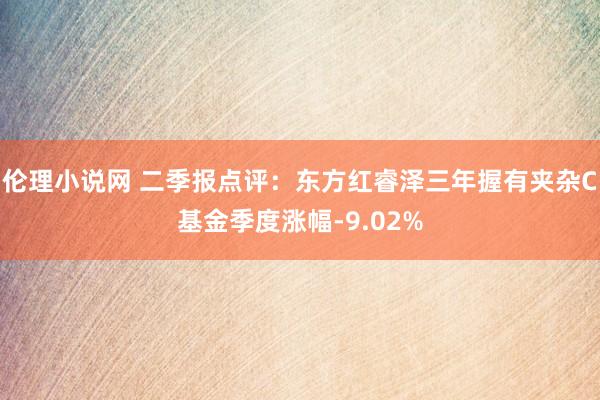 伦理小说网 二季报点评：东方红睿泽三年握有夹杂C基金季度涨幅-9.02%