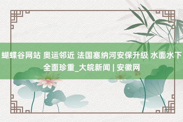 蝴蝶谷网站 奥运邻近 法国塞纳河安保升级 水面水下全面珍重_大皖新闻 | 安徽网