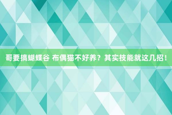 哥要搞蝴蝶谷 布偶猫不好养？其实技能就这几招！