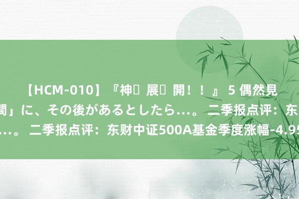 【HCM-010】『神・展・開！！』 5 偶然見かけた「目が奪われる瞬間」に、その後があるとしたら…。 二季报点评：东财中证500A基金季度涨幅-4.95%