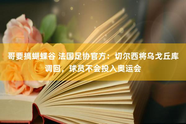 哥要搞蝴蝶谷 法国足协官方：切尔西将乌戈丘库调回，球员不会投入奥运会