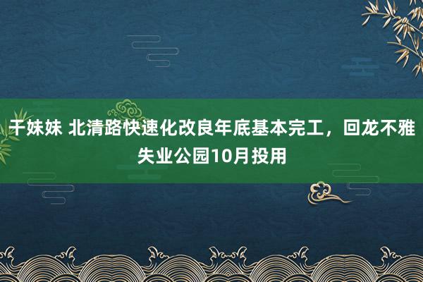 干妹妹 北清路快速化改良年底基本完工，回龙不雅失业公园10月投用