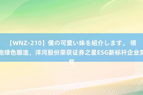 【WNZ-210】僕の可愛い妹を紹介します。 领跑绿色酿造，洋河股份荣获证券之星ESG新标杆企业奖