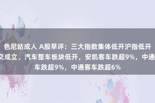 色尼姑成人 A股早评：三大指数集体低开沪指低开0.21%！轨交成立、汽车整车板块低开，安凯客车跌超9%，中通客车跌超6%