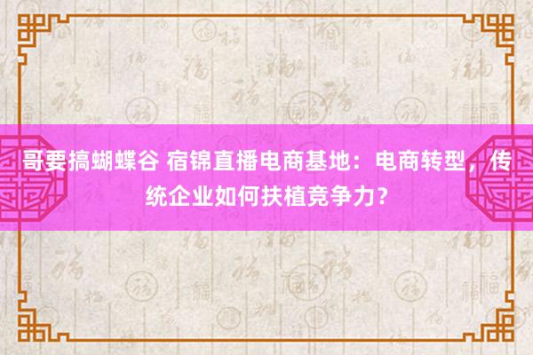 哥要搞蝴蝶谷 宿锦直播电商基地：电商转型，传统企业如何扶植竞争力？