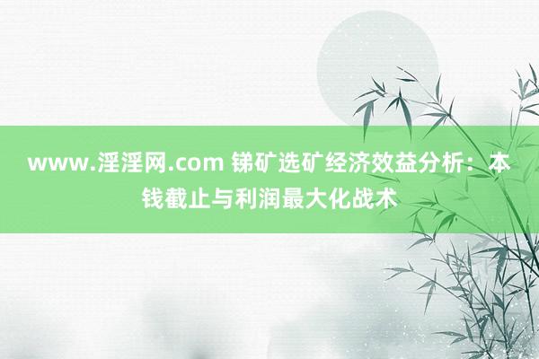 www.淫淫网.com 锑矿选矿经济效益分析：本钱截止与利润最大化战术