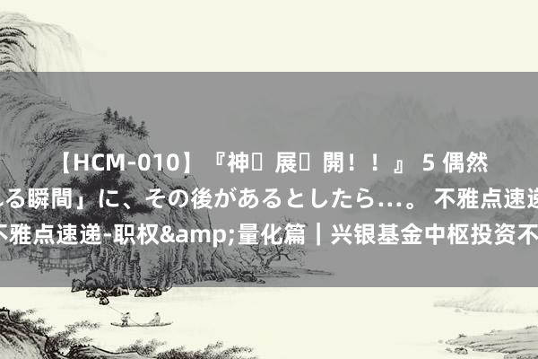 【HCM-010】『神・展・開！！』 5 偶然見かけた「目が奪われる瞬間」に、その後があるとしたら…。 不雅点速递-职权&量化篇｜兴银基金中枢投资不雅点极新解读