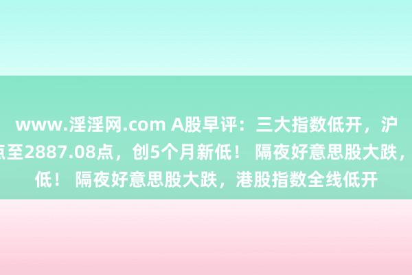 www.淫淫网.com A股早评：三大指数低开，沪指再度跌破2900点至2887.08点，创5个月新低！ 隔夜好意思股大跌，港股指数全线低开