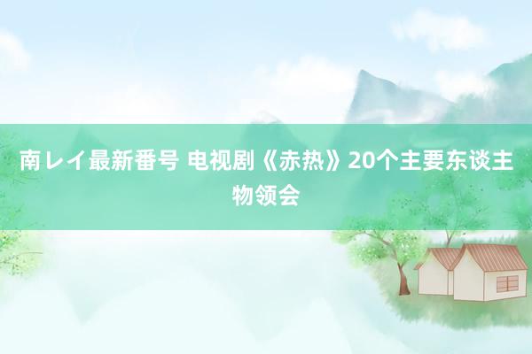 南レイ最新番号 电视剧《赤热》20个主要东谈主物领会