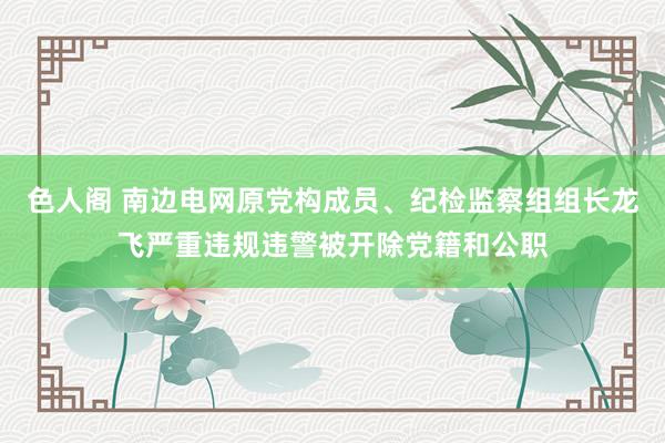 色人阁 南边电网原党构成员、纪检监察组组长龙飞严重违规违警被开除党籍和公职