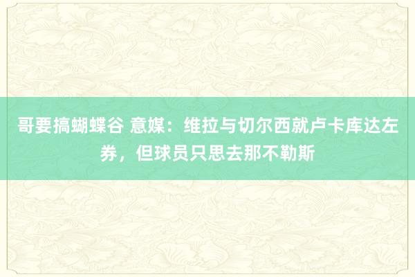 哥要搞蝴蝶谷 意媒：维拉与切尔西就卢卡库达左券，但球员只思去那不勒斯