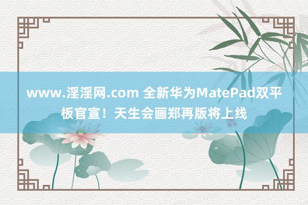 www.淫淫网.com 全新华为MatePad双平板官宣！天生会画郑再版将上线