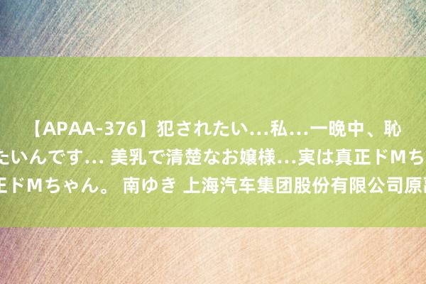 【APAA-376】犯されたい…私…一晩中、恥ずかしい恰好で犯されたいんです… 美乳で清楚なお嬢様…実は真正ドMちゃん。 南ゆき 上海汽车集团股份有限公司原副总裁被开除党籍