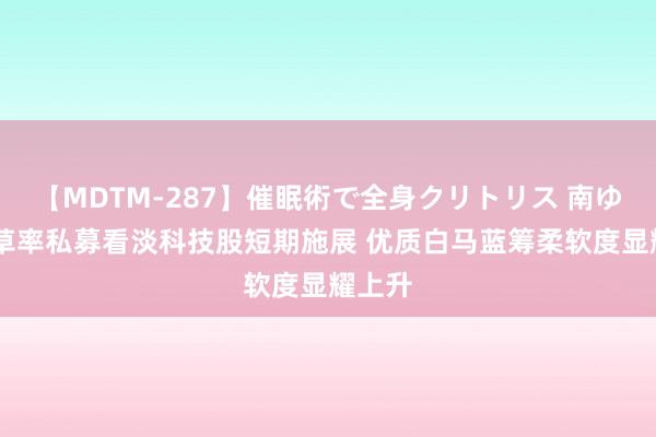 【MDTM-287】催眠術で全身クリトリス 南ゆき 超草率私募看淡科技股短期施展 优质白马蓝筹柔软度显耀上升