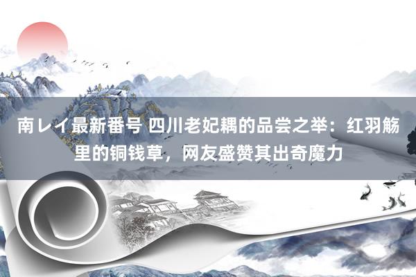 南レイ最新番号 四川老妃耦的品尝之举：红羽觞里的铜钱草，网友盛赞其出奇魔力