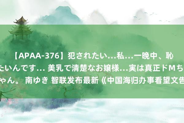 【APAA-376】犯されたい…私…一晩中、恥ずかしい恰好で犯されたいんです… 美乳で清楚なお嬢様…実は真正ドMちゃん。 南ゆき 智联发布最新《中国海归办事看望文告》， 这些行业急需留学生!