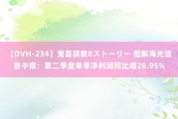 【DVH-234】鬼畜調教8ストーリー 图解海光信息中报：第二季度单季净利润同比增28.95%