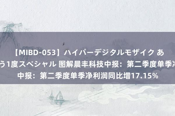 【MIBD-053】ハイパーデジタルモザイク あの娘のセックスをもう1度スペシャル 图解晨丰科技中报：第二季度单季净利润同比增17.15%