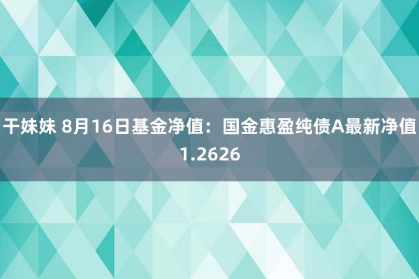 干妹妹 8月16日基金净值：国金惠盈纯债A最新净值1.2626