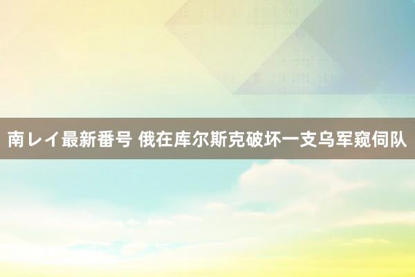 南レイ最新番号 俄在库尔斯克破坏一支乌军窥伺队