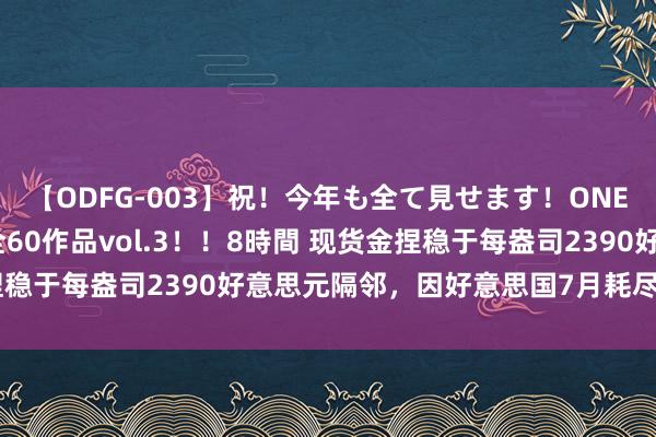 【ODFG-003】祝！今年も全て見せます！ONEDAFULL1年の軌跡全60作品vol.3！！8時間 现货金捏稳于每盎司2390好意思元隔邻，因好意思国7月耗尽者信心改善