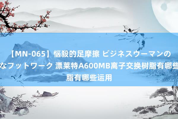 【MN-065】悩殺的足摩擦 ビジネスウーマンの淫らなフットワーク 漂莱特A600MB离子交换树脂有哪些运用