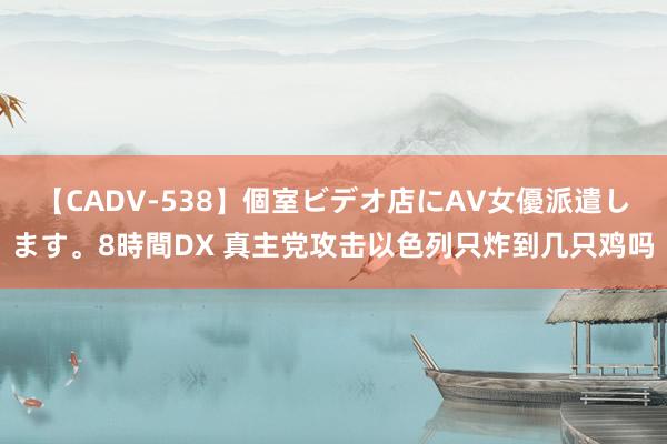 【CADV-538】個室ビデオ店にAV女優派遣します。8時間DX 真主党攻击以色列只炸到几只鸡吗