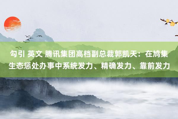 勾引 英文 腾讯集团高档副总裁郭凯天：在鸠集生态惩处办事中系统发力、精确发力、靠前发力