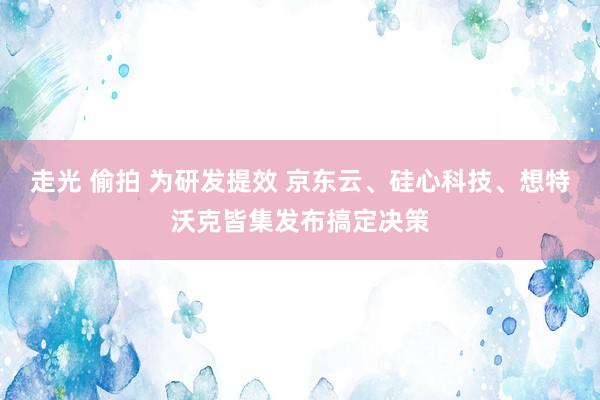 走光 偷拍 为研发提效 京东云、硅心科技、想特沃克皆集发布搞定决策