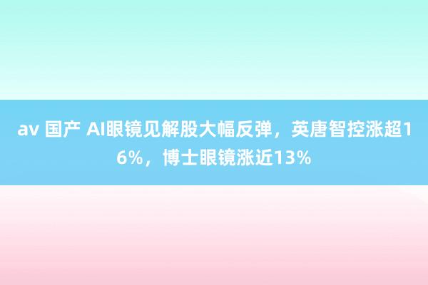 av 国产 AI眼镜见解股大幅反弹，英唐智控涨超16%，博士眼镜涨近13%