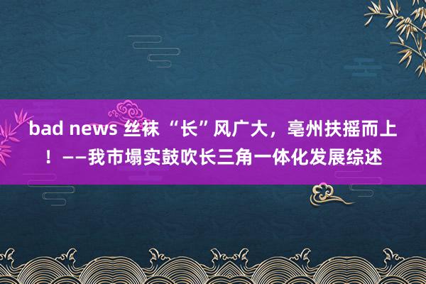 bad news 丝袜 “长”风广大，亳州扶摇而上！——我市塌实鼓吹长三角一体化发展综述