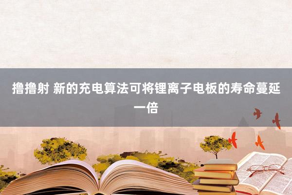 撸撸射 新的充电算法可将锂离子电板的寿命蔓延一倍