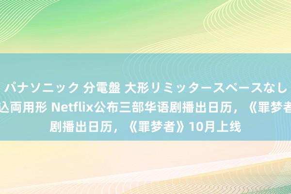 パナソニック 分電盤 大形リミッタースペースなし 露出・半埋込両用形 Netflix公布三部华语剧播出日历，《罪梦者》10月上线