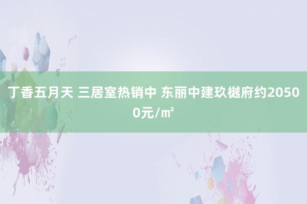 丁香五月天 三居室热销中 东丽中建玖樾府约20500元/㎡