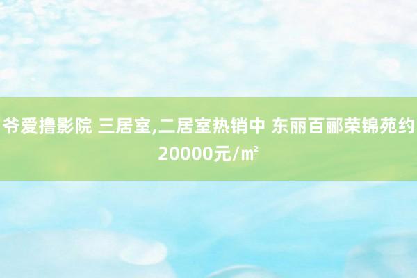 爷爱撸影院 三居室，二居室热销中 东丽百郦荣锦苑约20000元/㎡