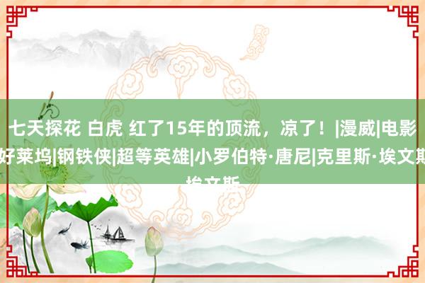 七天探花 白虎 红了15年的顶流，凉了！|漫威|电影|好莱坞|钢铁侠|超等英雄|小罗伯特·唐尼|克里斯·埃文斯