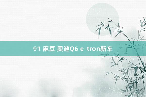 91 麻豆 奥迪Q6 e-tron新车