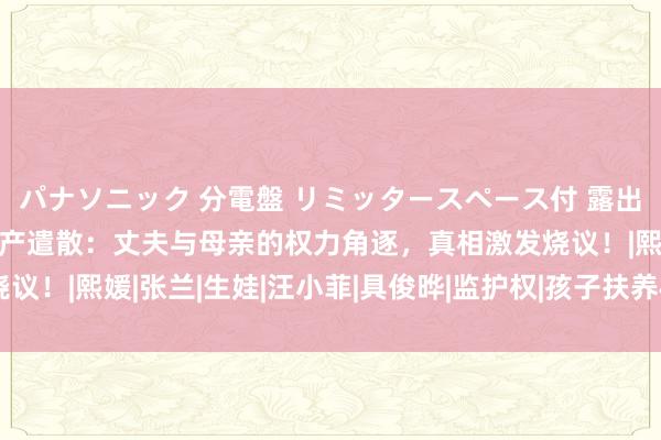 パナソニック 分電盤 リミッタースペース付 露出・半埋込両用形 大S遗产遣散：丈夫与母亲的权力角逐，真相激发烧议！|熙媛|张兰|生娃|汪小菲|具俊晔|监护权|孩子扶养权|大s遗产遣散